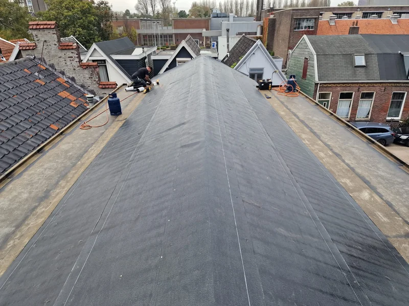 Dakshingels renovatie